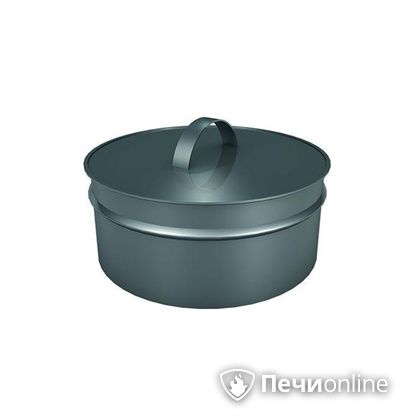 Заглушки Теплов и Сухов Заглушка ревизии Термо-Р 304 0.5 D220(120) в Шымкенте