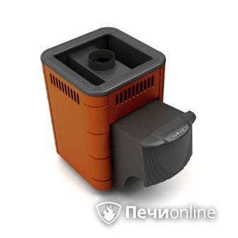 Дровяная банная печь TMF Оса Carbon терракота дверь антрацит в Шымкенте